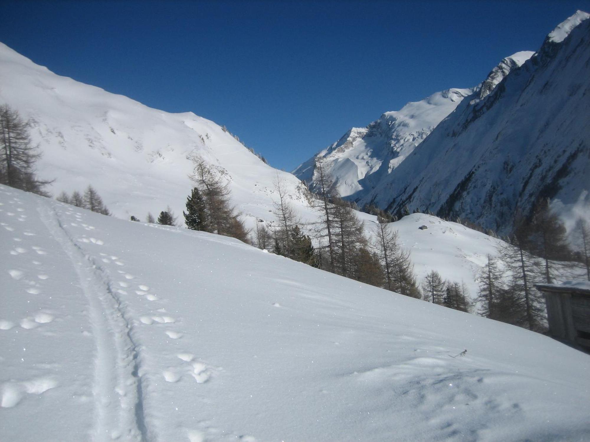 乌苏拉之家公寓 Kals-am Großglockner 外观 照片