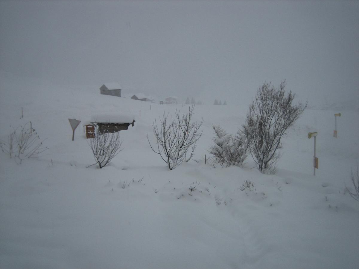 乌苏拉之家公寓 Kals-am Großglockner 外观 照片