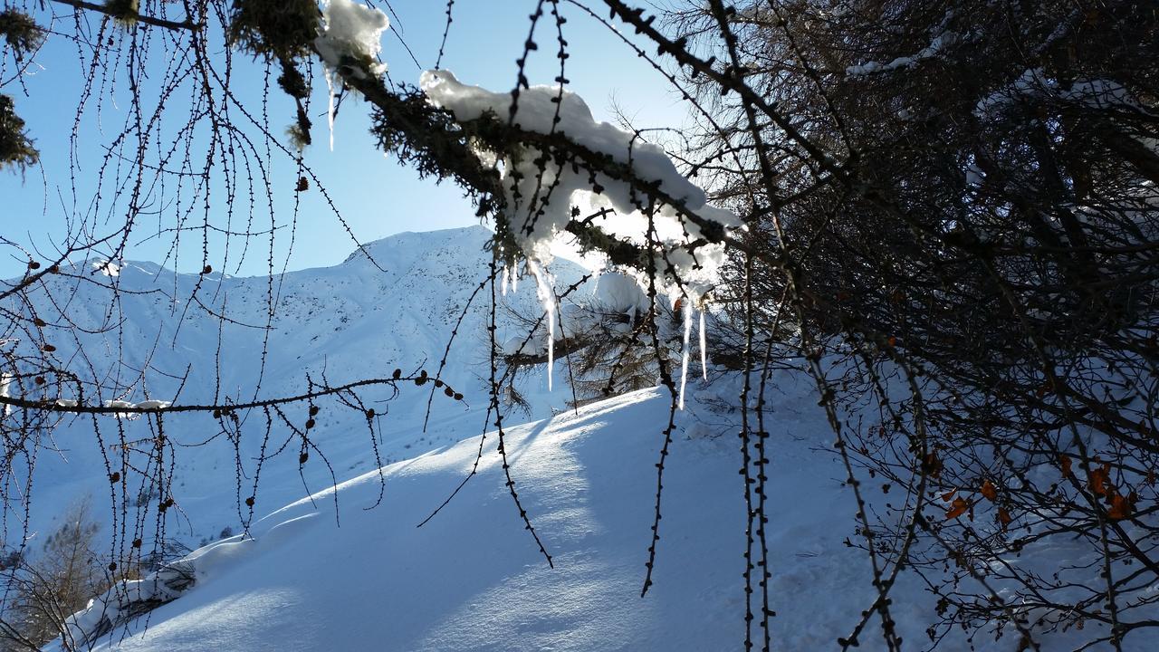 乌苏拉之家公寓 Kals-am Großglockner 外观 照片