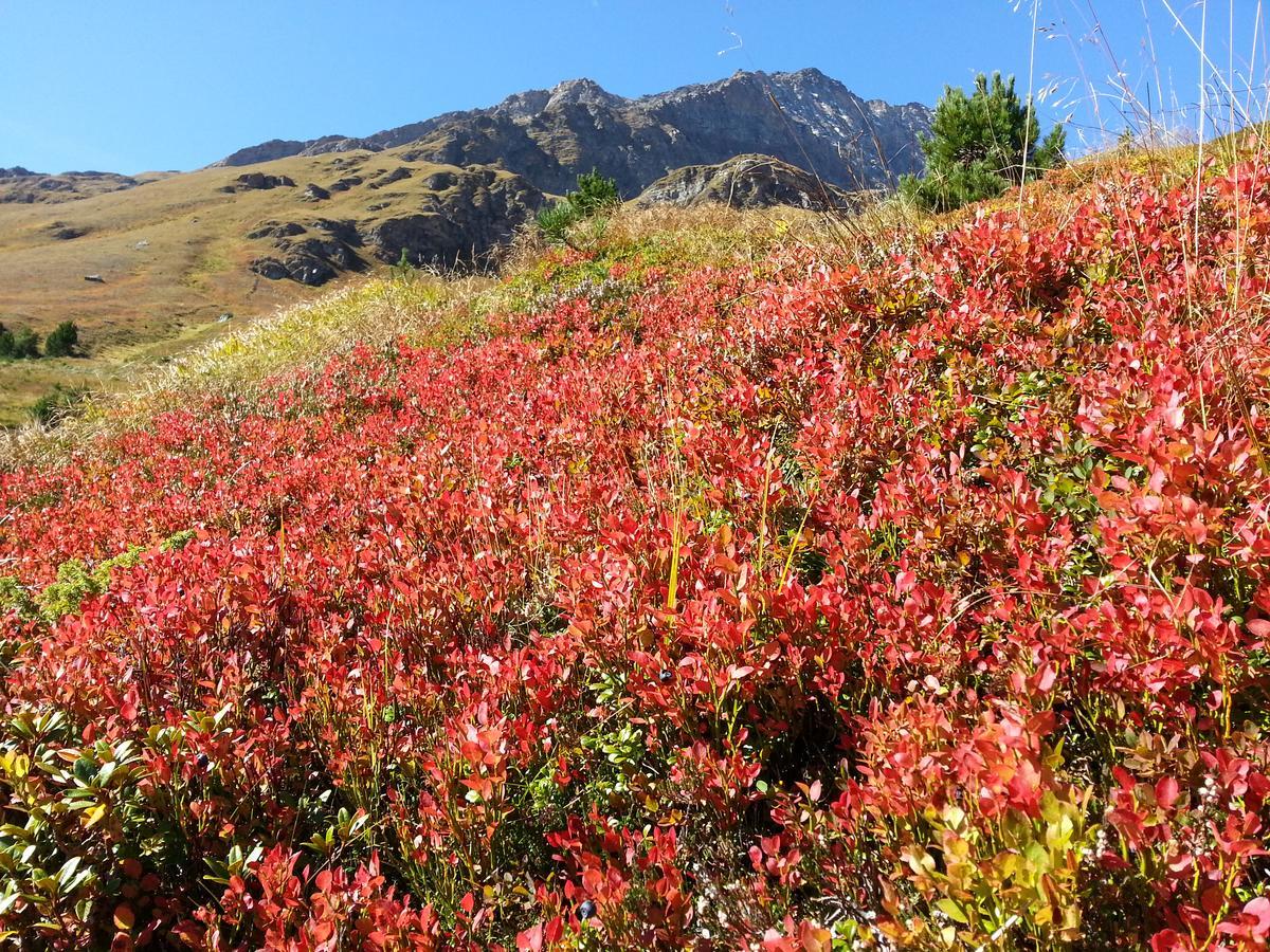乌苏拉之家公寓 Kals-am Großglockner 外观 照片
