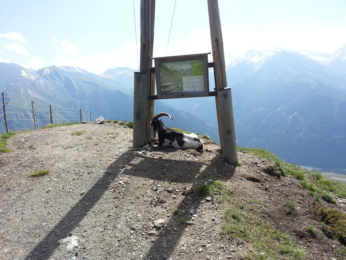 乌苏拉之家公寓 Kals-am Großglockner 外观 照片